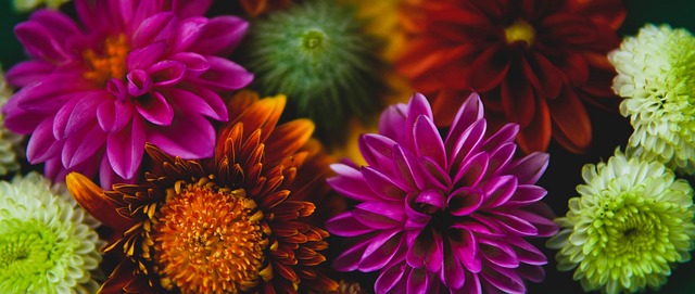 提升三分球 提升三分球